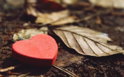 The power of gratitude and why you should try it.