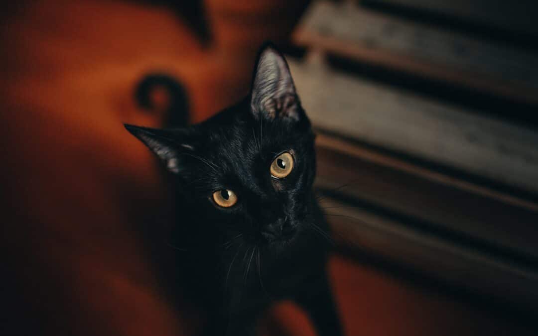 How To Rise Above Fear And Superstition