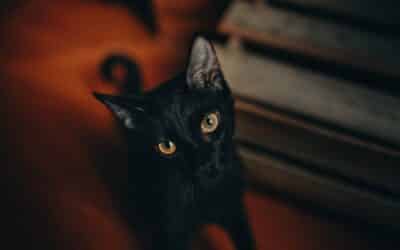 How To Rise Above Fear And Superstition