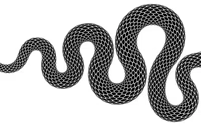 Snake Warnings in the UK: Why They’re Making You Panic (And How To Stay Calm)